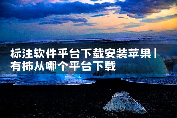 标注软件平台下载安装苹果