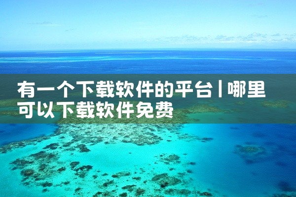 有一个下载软件的平台