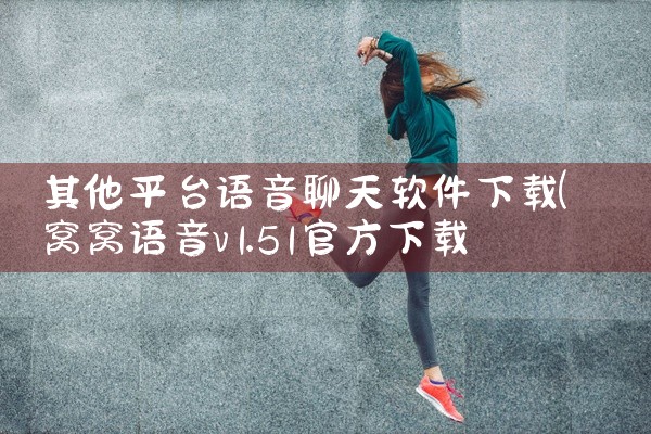 其他平台语音聊天软件下载