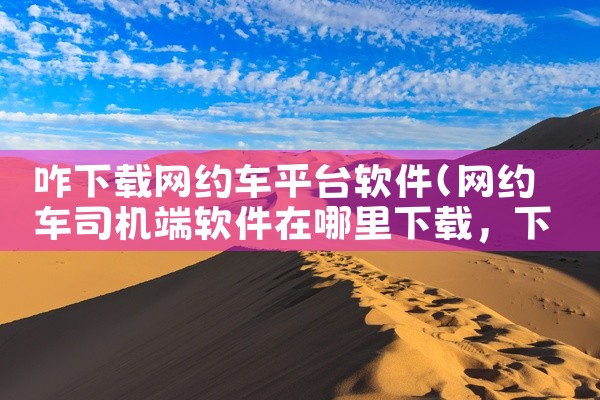 咋下载网约车平台软件