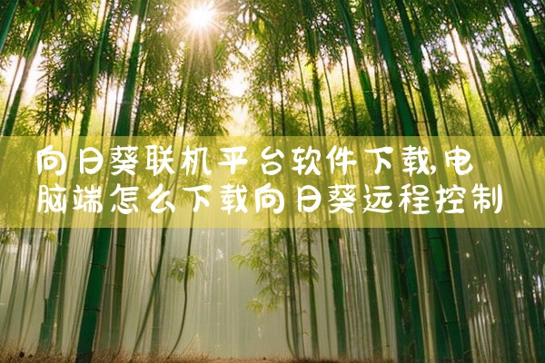 向日葵联机平台软件下载