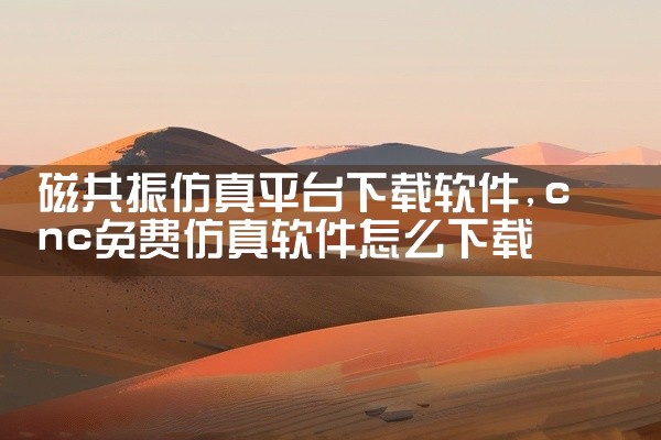 磁共振仿真平台下载软件