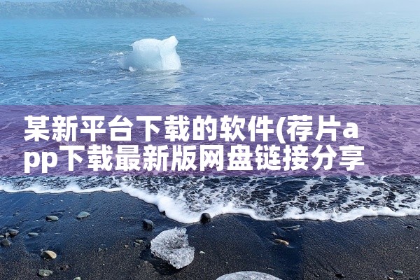 某新平台下载的软件