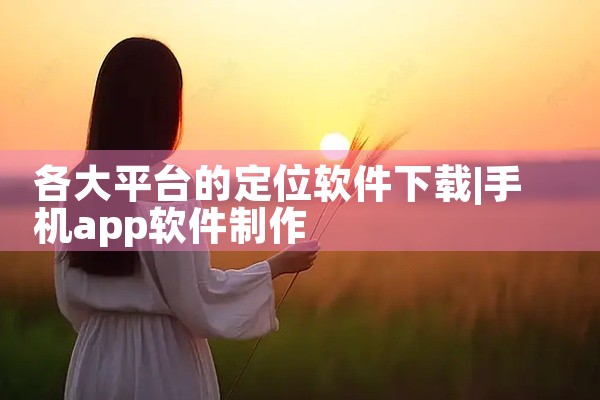 各大平台的定位软件下载